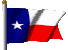 tx flag L